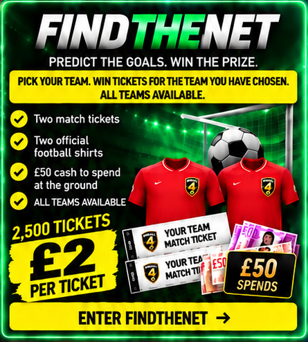 FindTheNet competition artwork